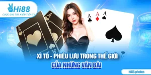 Xì Tố - Phiêu Lưu Trong Thế Giới Của Những Ván Bài